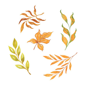 Yellow and orange autumn leaf collection. Hand drawn watercolor illustration.