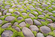 Cobbled Road With Grass Between Stones