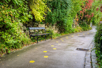 Canvas Print - Alley of the autumn old park