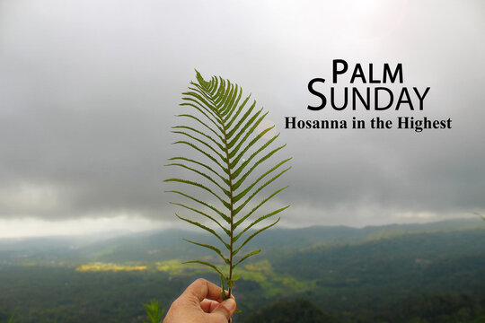 Wall Mural -  - Palm Sunday quote - Hosanna in The Highest. Palm Sunday background with person holding green palm or fern leaf in hand on blue gloomy sky background over the mountain. Happy Palm Sunday concepts.