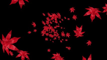 Many red autumn leaves floating in air on black background. Low polygonal plant. Symbol of digital technology. Abstract loop animation.