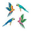 Bundle of colorful parrot illustration vector