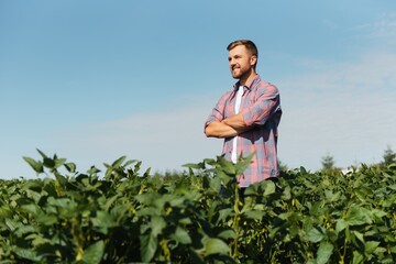 Wall Mural - Portrait of a happy young farmer inspecting soybean plantations. Agricultural industry