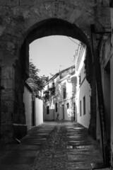 Sticker - Vertical grayscale shot of an archway alley