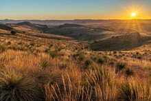 A desert scene with yucca cactus, wild grass, hills and mountain in the distance with clear sky and sun rising, Davis Mountains State Park, Texas