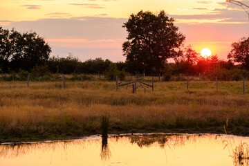 Sunset on the field and the pond