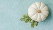 A White Pumpkin And Fabric Leaves On A Teal Patterned Background
