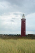 © Claudia Evans  - Beach grass with lighthouse Westhoofd in Ouddorp in the Netherlands