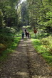 Droga w lesie ,przecięta torami ze znakiem STOP, po której spaceruje grupa dorosłych osób w jesienne, słoneczne popołudnie