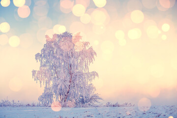 Wall Mural - Winter christmas landscape