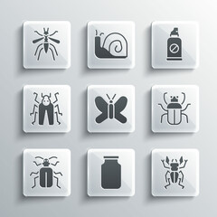 Poster - Set Glass jar, Beetle deer, Stink bug, Butterfly, Chafer beetle, Mosquito and Spray against insects icon. Vector