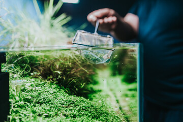 Wall Mural - Male worker working in aquarium showroom.