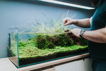 Man cleaning aquarium and cutting underwater plants.