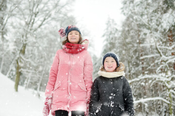 Wall Mural - Two young girls having fun together in beautiful winter park. Cute sisters playing in a snow. Winter activities for family with kids.