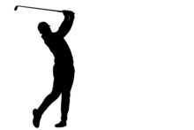 Golfer In Black Silhouette On White Background