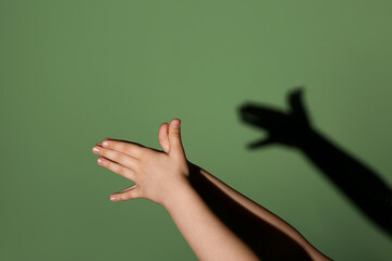 Wall Mural - Child making shadow dog with his hands on color background