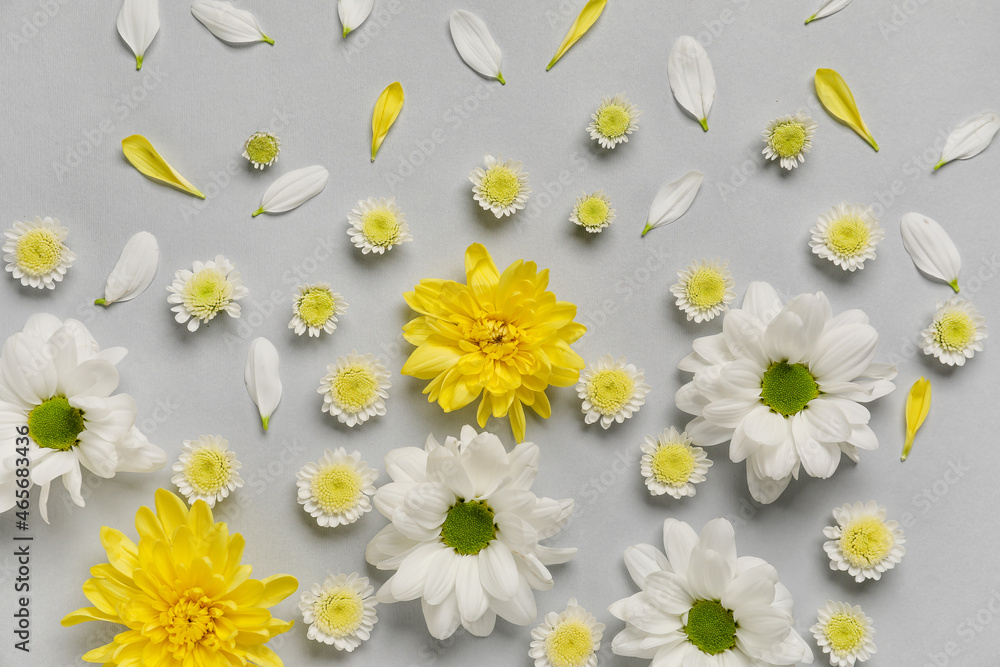 Different flowers and petals on grey background, closeup