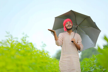 Wall Mural - Young indian farmer using umbrella and walking at agriculture field.