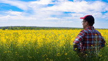 Middle Aged Caucasian Farmer Stands At Canola Field