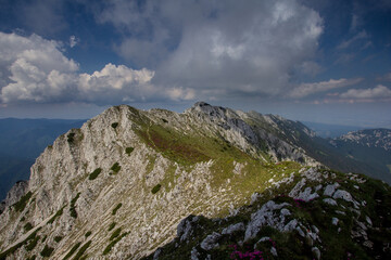 Sticker - Gorgeous mountainous area in greenery