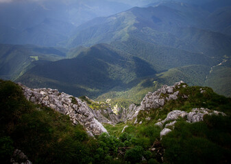 Sticker - Gorgeous mountainous area in greenery