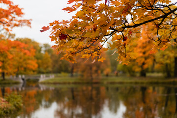 Wall Mural - view of russian park in the autumn evening