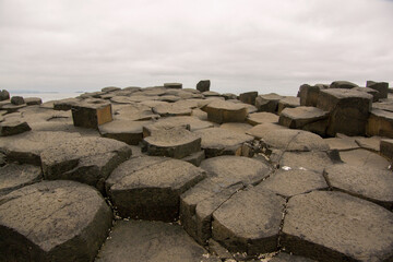 Wall Mural - View of the Giant's Causeway on a cloudy day, Northern Ireland