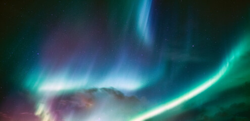 Wall Mural - Aurora Borealis, Northern Lights with starry in the night sky on Arctic Circle