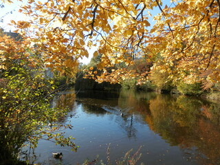  Die Orangerie und der Schloßpark in Meuselwitz im Altenburger Land