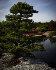 Canvas Print - vertical photo of a beautiful  Japanese garden