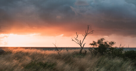 Wall Mural - Beautiful view of a field on the sunset sky background