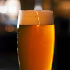 Wall Mural - full glass of beer on blurred lights background square