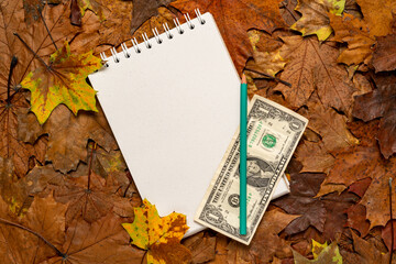 Wall Mural - Empty paper notepad with pencil on the autumn leaves background