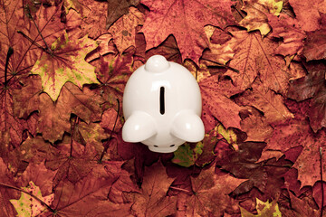 Wall Mural - Piggy bank standing on dry leaves background