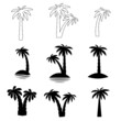 © MichiruKayo - Set tropical palm trees with leaves, mature and young plants, black silhouettes isolated on white background.