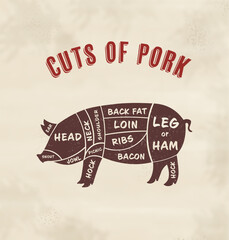 Canvas Print - Butcher's guide: Cuts of pork scheme. Illustration of pig on beige background