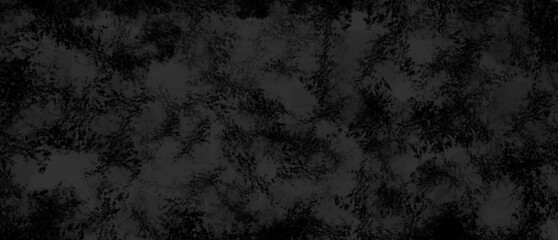 Canvas Print - black blank dark ancient grainy backdrop background