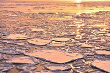 おーろら号より夕照のオホーツク海に蓮葉氷流氷帯, 日本,北海道,網走市