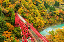 紅葉の黒部峡谷と鉄橋を渡るトロッコ列車, 日本,富山県,黒部市