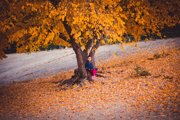 View of autumn forest in October. Child sits at root of tree in autumn forest and looks at yellow leaves that have fallen from trees.