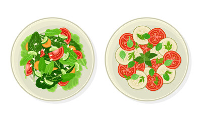 Wall Mural - Salad of Green Vegetables and Sliced Tomato and Cucumber as Vegetarian Dish Above View Vector Set