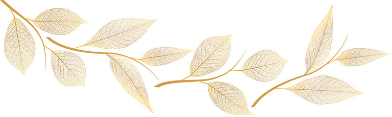 Beautiful background with leaves vein. Vector illustration.