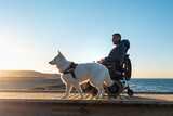 Fototapeta  - Service dog and man with disability on wheelchair outside on sun.