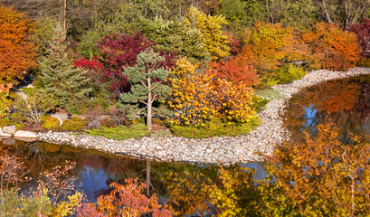 Wall Mural - Colorful fall foliage along side of lake at Japanese garden in Frederik Meijer gardens ,Grand rapids, Michigan