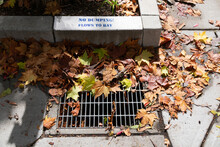 No Dumping Flows To Bay Warning Sign Near Grating Storm Drain Covered With Dead Fall Leaves