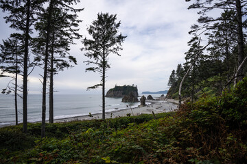 Wall Mural - Kalaloch Beach 4