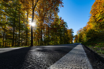 Wall Mural - Country road on a sunny autum fall day in Menden Sauerland with colorful foliage on tall beech trees along the street. Indian summer forest panorama from frog perspective in rural area of Germany.