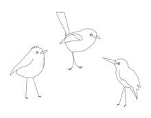 Three Birds Line Art Vector. Poster Print, Pattern, Clipart