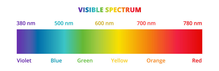 Visible light spectrum diagram isolated on a white background. Color electromagnetic spectrum visible to the human eye. Violet, blue, green, yellow, orange, and red color gradient.