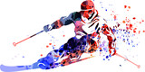 Fototapeta Konie - Vector watercolor silhouette of a skier